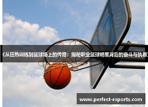 《从狂热训练到篮球场上的传奇：揭秘职业篮球明星背后的奋斗与执着》