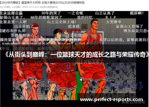 《从街头到巅峰：一位篮球天才的成长之路与荣耀传奇》