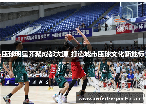 篮球明星齐聚成都大源 打造城市篮球文化新地标