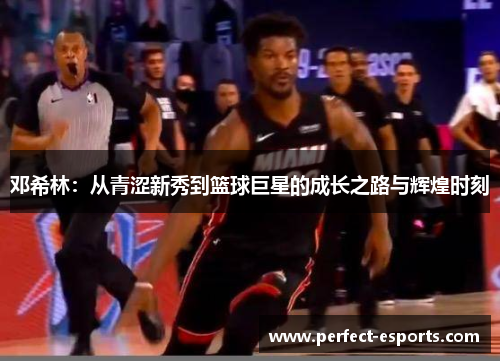 邓希林：从青涩新秀到篮球巨星的成长之路与辉煌时刻